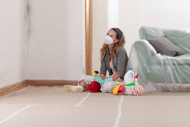 Reliable Mold Remediation contractor in Lumberton, TX by 24 Hour Mold Removal